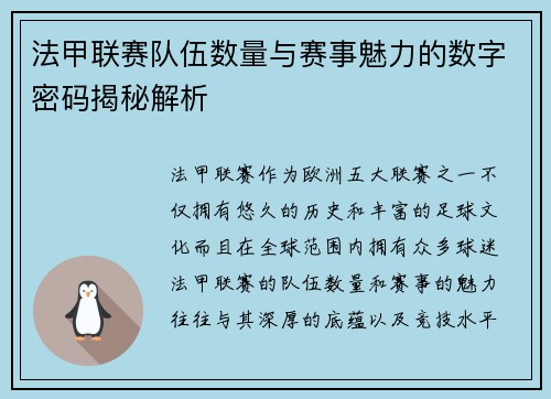 法甲联赛队伍数量与赛事魅力的数字密码揭秘解析